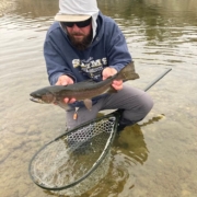 bow river fly fishing landed trout