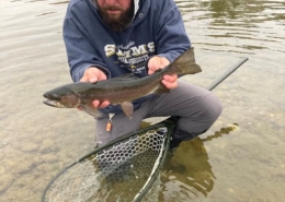 bow river fly fishing landed trout