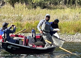corporate fly fishing trips bow river alberta