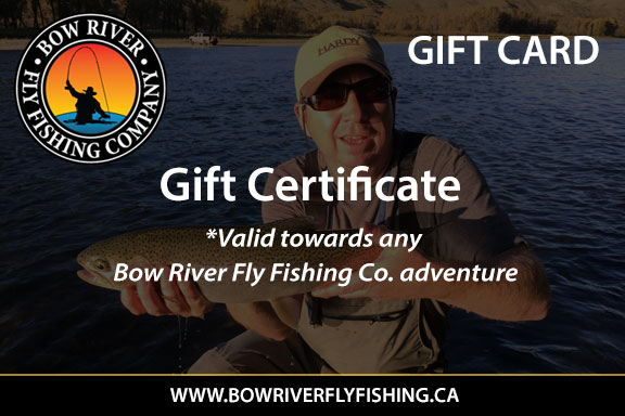 Gift Certificates for Fly Fishing Trips on the Bow River, near Calgary, Alberta.