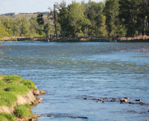 Fly Fishing Lessons Spirit River Ranch south of Calgary