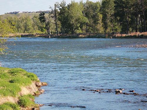 Fly Fishing Lessons Spirit River Ranch Calgary An Introduction