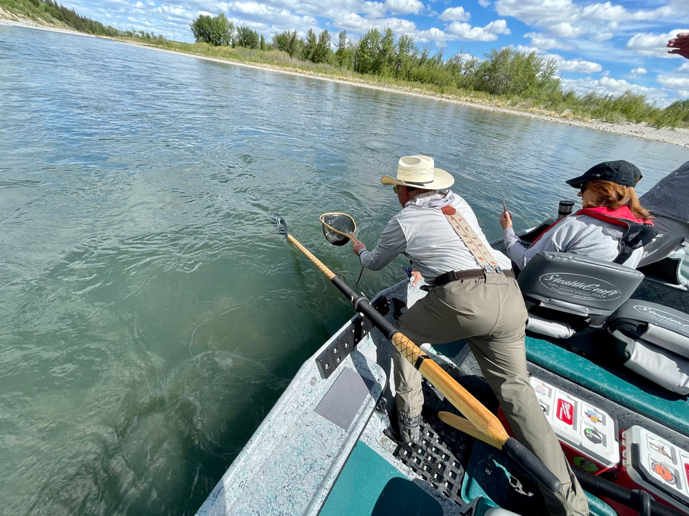 fishing guide outfitters netting trout