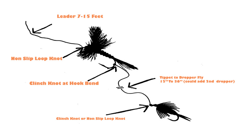 Best Flies for Fly Fishing Bow River in the Spring. 