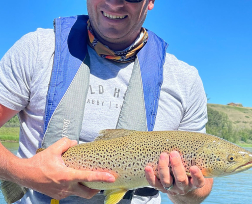 trout fly fishing bow river 2023
