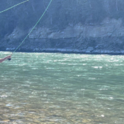 shoreline trout fishing on bow river near calgary, alberta, canada