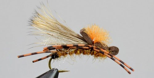 Fly Fishing Chart Bow River