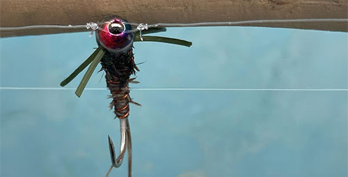 Fly Fishing Chart Bow River