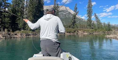 fly fishing presentation bow river alberta