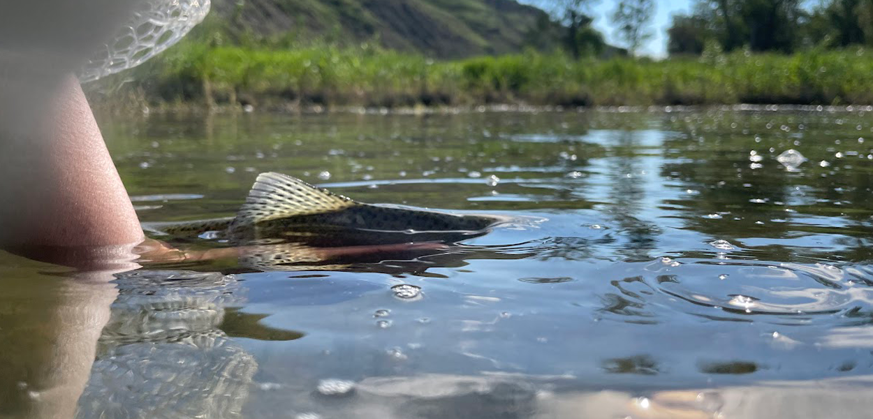 Reading While Fishing