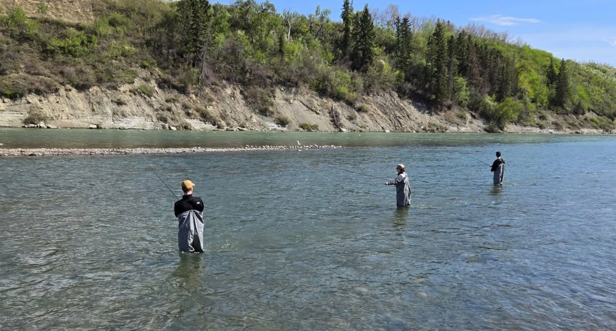 walk wade top notch flyfishing calgary