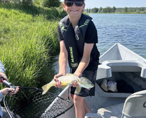 Kid landing a brown trout from a drift boat on the Bow River.