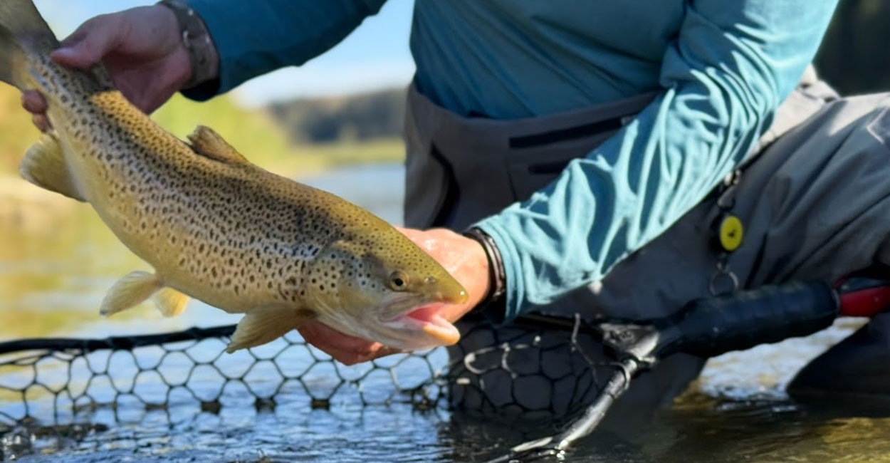 Bow River Fly Fishing: Guide for Spring, Summer, Fall Bow River Fly Fishing: Guide for Spring, Summer, Fall