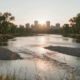 Bow river fly fishing in Calgary, Alberta